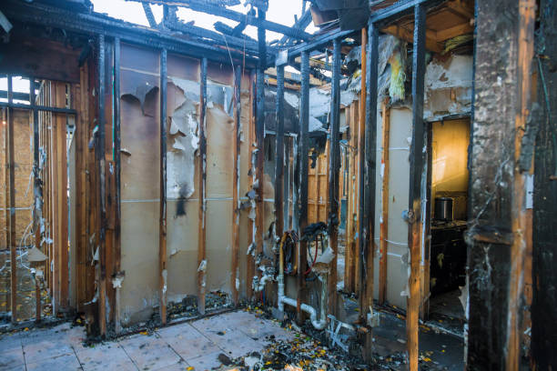 Professional Fire Damage Removal technician working in Bay Pines, FL